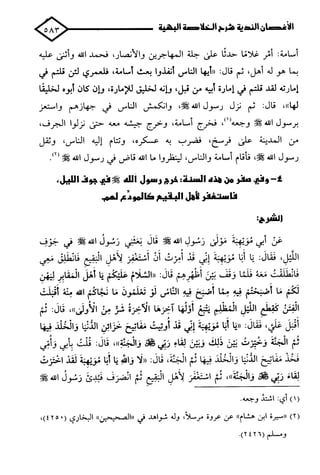 الأغصان الندية في شرح السيرة النبوية