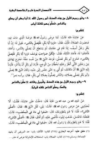 الأغصان الندية في شرح السيرة النبوية