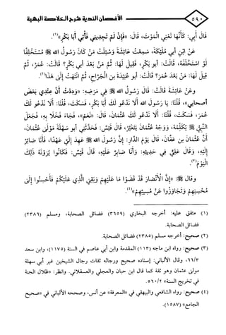 الأغصان الندية في شرح السيرة النبوية