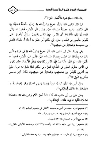 الأغصان الندية في شرح السيرة النبوية