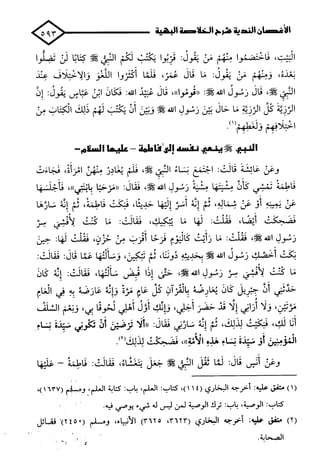 الأغصان الندية في شرح السيرة النبوية