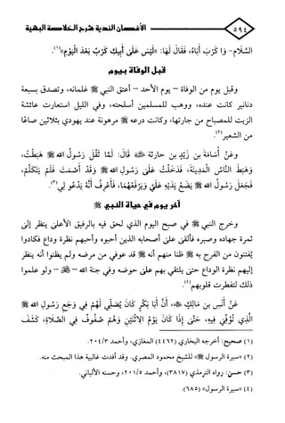 الأغصان الندية في شرح السيرة النبوية