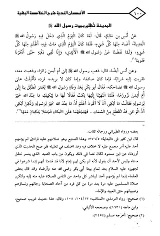 الأغصان الندية في شرح السيرة النبوية