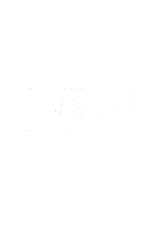 الأغصان الندية في شرح السيرة النبوية