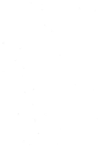 الأغصان الندية في شرح السيرة النبوية