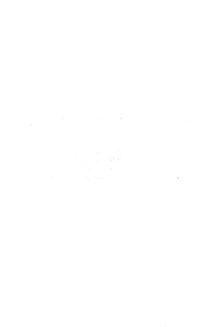 الأغصان الندية في شرح السيرة النبوية