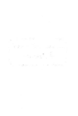 الأغصان الندية في شرح السيرة النبوية