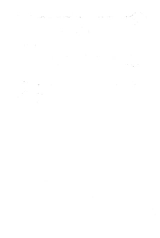 الأغصان الندية في شرح السيرة النبوية