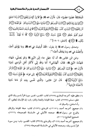 الأغصان الندية في شرح السيرة النبوية