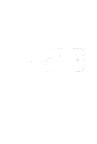 الأغصان الندية في شرح السيرة النبوية