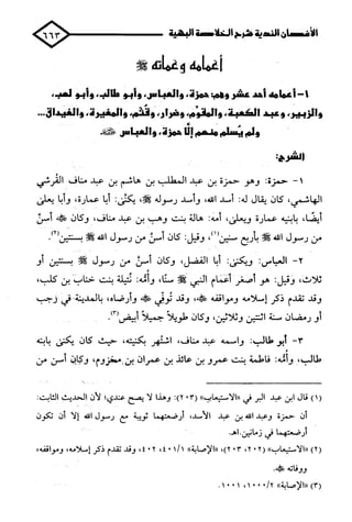 الأغصان الندية في شرح السيرة النبوية