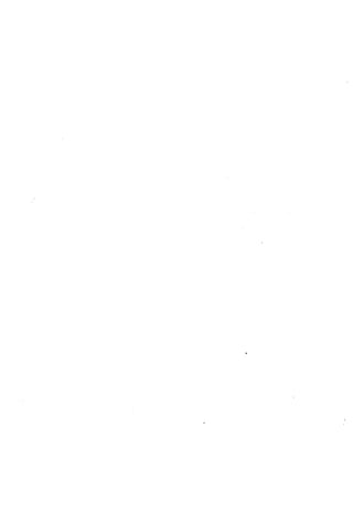 الأغصان الندية في شرح السيرة النبوية