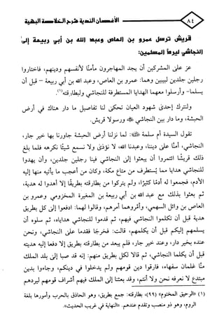 الأغصان الندية في شرح السيرة النبوية