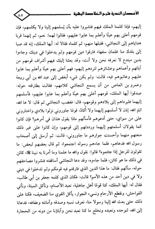 الأغصان الندية في شرح السيرة النبوية