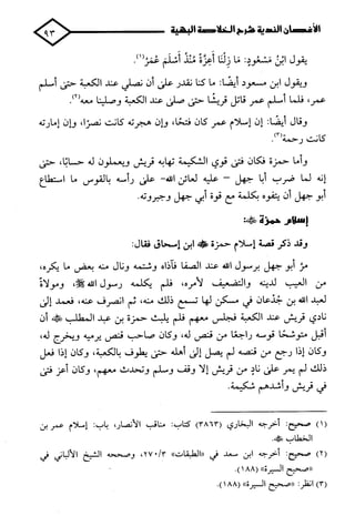 الأغصان الندية في شرح السيرة النبوية