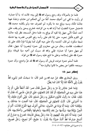 الأغصان الندية في شرح السيرة النبوية