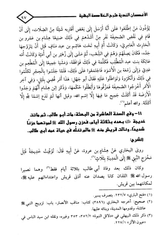 الأغصان الندية في شرح السيرة النبوية