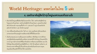World Heritage: มรดกโลกในไทย 5แห่ง
4. เขตรักษาพันธุ์สัตว์ป่าทุ่งใหญ่นเรศวรและห้วยขาแข้ง
◦ ผืนป่าอันยิ่งใหญ่และมีชื่อเสียงที่สุดในประเทศไทย ได้แก่ เขตรักษาพันธุ์สัตว์ป่าทุ่ง
ใหญ่นเรศวรด้านตะวันตก เขตรักษาพันธุ์สัตว์ป่าด้านตะวันออก และเขตรักษาพันธุ์
สัตว์ป่าห้วยขาแข้ง ครอบคลุมพื้นที่กว่ากว่า 3,800,000 ไร่ อยู่ภายในเขตจังหวัด
อุทัยธานี จังหวัดตาก และ จังหวัดกาญจนบุรี
◦ ประกาศขึ้นทะเบียนเป็นมรดกโลก ในปี พ.ศ. 2534 และเป็นสถานที่ธรรมชาติแห่ง
แรกของประเทศไทยและภูมิภาคเอเชียออกเฉียงใต้ที่ได้เป็นมรดกโลก
◦ เป็นตัวแทนของขบวนการเปลี่ยนแปลงทางธรณีวิทยา หรือวิวัฒนาการทางชีววิทยา
และปฏิสัมพันธ์ของมนุษย์ต่อสิ่งแวดล้อมทางธรรมชาติที่กาลังเกิดอยู่ เป็นแหล่งที่เกิด
จากปรากฏการณ์ทางธรรมชาติที่มีเอกลักษณ์หายากหรือสวยงามเป็นพิเศษ และ เป็น
ถิ่นที่อยู่อาศัยของชนิดสัตว์และพันธุ์พืชที่หายาก หรือ ที่ตกอยู่ในสภาวะอันตราย แต่
ยังคงสามารถดารงชีวิตอยู่ได้ซึ่งรวมถึงระบบนิเวศอันเป็นแหล่งรวมความอุดม
สมบูรณ์ของพืชและสัตว์ที่ทั่วโลกให้ความสนใจด้วย
 
