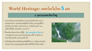 World Heritage: มรดกโลกในไทย 5แห่ง
5. อุทยานแห่งชาติเขาใหญ่
◦ ประกอบด้วยอุทยานแห่งชาติทับลาน อุทยานแห่งชาติปางสีดา อุทยาน
แห่งชาติตาพระยา และเขตรักษาพันธุ์สัตว์ป่าดงใหญ่ ครอบคลุมพื้นที่ 6
จังหวัดคือ นครราชสีมา สระบุรี นครนายก ปราจีนบุรี สระแก้ว และ
บุรีรัมย์ มีพื้นที่ป่ารวมกันเกือบ 4,00,000 ไร่
◦ ขึ้นทะเบียนเป็นมรดกโลกภายใต้ชื่อ "ผืนป่าดงพญาเย็น-เขาใหญ่"จาก
การประชุมคณะกรรมการมรดกโลกสมัยสามัญ ครั้งที่ 29 เมื่อปี พ.ศ.
2548 ที่เมืองเดอร์บัน ประเทศแอฟริกาใต้
◦ เป็นถิ่นที่อยู่อาศัยของชนิดสัตว์และพันธุ์พืชที่หายาก รวมถึงระบบนิเวศอัน
เป็นแหล่งรวมความอุดมสมบูรณ์ของพืชและสัตว์ที่ทั่วโลกให้ความสนใจ
 