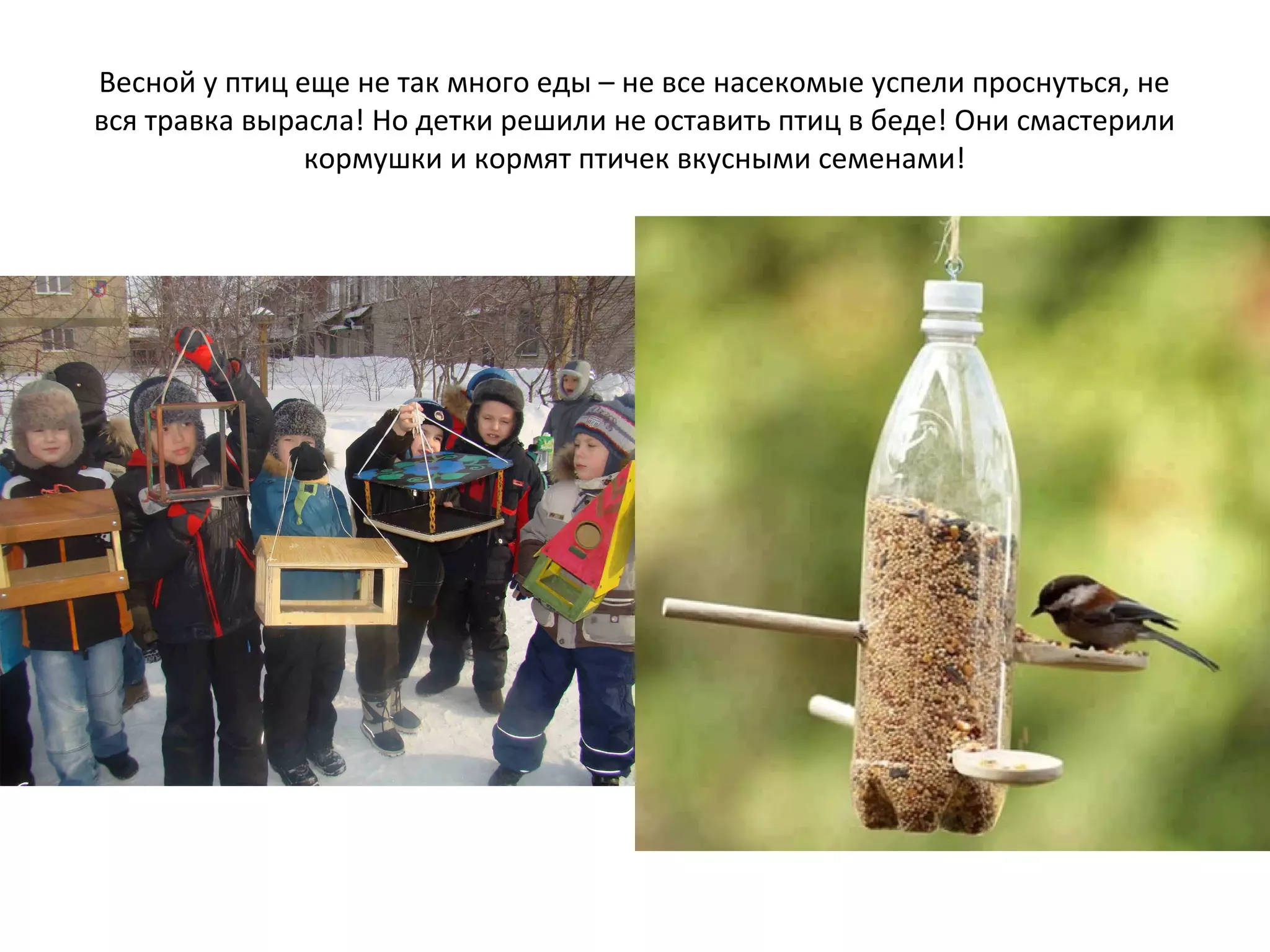 Весной у птиц еще не так много еды – не все насекомые успели проснуться, не
вся травка вырасла! Но детки решили не оставить птиц в беде! Они смастерили
кормушки и кормят птичек вкусными семенами!
 