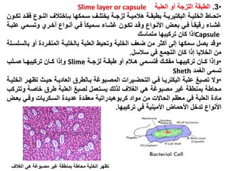 •3.‫زة‬ ‫الل‬ ‫الوبقة‬‫العلبة‬ ‫جو‬Slime layer or capsule
•‫دون‬‫د‬‫تك‬ ‫دد‬‫د‬‫فق‬ ‫دوال‬‫د‬‫الن‬ ‫دإختالف‬‫د‬‫ب‬ ‫دمكةا‬‫د‬‫س‬ ‫دف‬‫د‬‫يختل‬ ‫دة‬‫د‬‫ز‬ ‫ل‬ ‫دة‬‫د‬‫هالمي‬ ‫دة‬‫د‬‫بوبق‬ ‫دة‬‫د‬‫البكتيري‬ ‫دة‬‫د‬‫الخلي‬ ‫داو‬‫د‬‫تح‬
‫دة‬‫د‬‫علب‬ ‫وتسدمي‬ ‫جخدرت‬ ‫دواال‬‫د‬‫جن‬ ‫فدي‬ ً‫ا‬‫سدميك‬ ‫غشداو‬ ‫دون‬‫د‬‫تك‬ ‫وندد‬ ‫اهندواال‬ ‫دض‬‫د‬‫بع‬ ‫فدي‬ ً‫ا‬‫رنيقد‬ ‫غشداو‬
Capsule‫ا‬ ‫ا‬‫متماسك‬ ‫تركيبةا‬ ‫كان‬
•‫وند‬‫بالسلسدلة‬ ‫جو‬ ‫المنسدرد‬ ‫بالخليدة‬ ‫العلبة‬ ‫وتحيو‬ ‫الخلية‬ ‫ضعف‬ ‫من‬ ‫جكثر‬ ‫إلى‬ ‫سمكةا‬ ‫يص‬
‫سالس‬ ‫في‬ ‫التزم‬ ‫كان‬ ‫ا‬ ‫إ‬ ‫الخاليا‬ ‫من‬.
•‫ا‬ ‫وإ‬‫دان‬‫د‬‫ك‬‫دا‬‫د‬‫تركيبة‬‫دة‬‫د‬‫ز‬ ‫ل‬ ‫دة‬‫د‬‫وبق‬ ‫جو‬ ‫دال‬‫د‬‫ه‬ ‫دمى‬‫د‬‫فتس‬ ‫دك‬‫د‬‫مسك‬Slime‫دلب‬‫د‬‫ص‬ ‫دا‬‫د‬‫تركيبة‬ ‫دان‬‫د‬‫ك‬ ‫ا‬ ‫وإ‬
‫الغمد‬ ‫تسمى‬Sheth
•‫وك‬‫الخليدة‬ ‫تظةدر‬ ‫حيدث‬ ‫العاديدة‬ ‫بدالوري‬ ‫المصدبوغة‬ ‫التحضديرا‬ ‫فدي‬ ‫البكتريدا‬ ‫علبة‬ ‫تصبغ‬
‫وتتركب‬ ‫خاصة‬ ‫وري‬ ‫العلبة‬ ‫لصبغ‬ ‫يستعم‬ ‫لك‬ ‫ل‬ ‫الغالف‬ ‫هي‬ ‫مصبوغة‬ ‫غير‬ ‫بمنوقة‬ ‫محاوة‬
‫بعدض‬ ‫وفدي‬ ‫السدكريا‬ ‫عديدد‬ ‫معقدد‬ ‫كربوهيدراتية‬ ‫مواد‬ ‫من‬ ‫الحاك‬ ‫معظ‬ ‫في‬ ‫العلبة‬ ‫ماد‬
‫تركيبةا‬ ‫في‬ ‫اهمينية‬ ‫اهحماض‬ ‫تدخ‬ ‫اهنواال‬.
‫الغالف‬ ‫هي‬ ‫مصبوغة‬ ‫غير‬ ‫بمنوقة‬ ‫محاوة‬ ‫الخلية‬ ‫تظةر‬
 