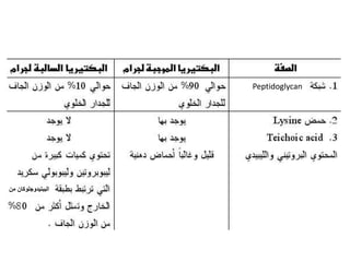 Peptidoglycan
‫الببتيدوزلوكان‬‫من‬
 