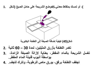 1. ‫وض‬‫الشريحة‬‫على‬‫حام‬‫الصبغ‬(‫شك‬ 45 )،‫جو‬‫تمسك‬‫بملقاو‬‫معدني‬.
2. ‫تغمر‬‫اللوخة‬‫ري‬ ‫با‬،‫المثيلين‬‫لمد‬30–60‫ثانية‬
3. ‫تغس‬‫الشريحة‬‫بالماو‬،‫المقور‬‫بعناية‬‫الة‬ ‫إل‬‫الصبغة‬، ‫اةد‬ ‫ال‬
‫بواسوة‬‫جنبوب‬‫ننينة‬‫الماو‬‫المقور‬.
4. ‫تزسف‬‫اللوخة‬،‫برفق‬‫بوري‬‫ما‬،‫للرووبة‬‫وتترك‬‫لتزف‬.
‫شك‬(45)‫البكتيرية‬ ‫اللوخة‬ ‫إلى‬ ‫الصبغة‬ ‫إضافة‬ ‫كيسية‬
 
