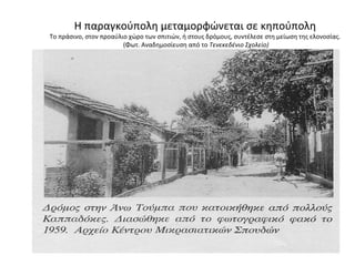 Η παραγκούπολη μεταμορφώνεται σε κηπούπολη
Το πράσινο, στον προαύλιο χώρο των σπιτιών, ή στους δρόμους, συντέλεσε στη μείωση της ελονοσίας.
(Φωτ. Αναδημοσίευση από το Τενεκεδένιο Σχολείο)
 