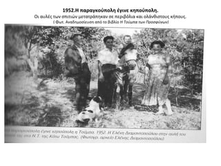 1952.Η παραγκούπολη έγινε κηπούπολη.
Οι αυλές των σπιτιών μετατράπηκαν σε περιβόλια και ολάνθιστους κήπους.
( Φωτ. Αναδημοσίευση από το βιβλίο Η Τούμπα των Προσφύγων)
 
