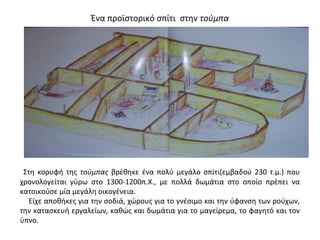 Ένα προϊστορικό σπίτι στην τούμπα
Στη κορυφή της τούμπας βρέθηκε ένα πολύ μεγάλο σπίτι(εμβαδού 230 τ.μ.) που
χρονολογείται γύρω στο 1300-1200π.Χ., με πολλά δωμάτια στο οποίο πρέπει να
κατοικούσε μία μεγάλη οικογένεια.
Είχε αποθήκες για την σοδιά, χώρους για το γνέσιμο και την ύφανση των ρούχων,
την κατασκευή εργαλείων, καθώς και δωμάτια για το μαγείρεμα, το φαγητό και τον
ύπνο.
 