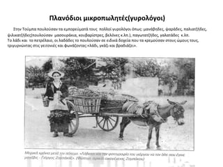 Πλανόδιοι μικροπωλητές(γυρολόγοι)
Στην Τούμπα πουλούσαν τα εμπορεύματά τους πολλοί γυρολόγοι όπως: μανάβηδες, ψαράδες, παλιατζήδες,
ψιλικατζήδες(πουλούσαν μασουράκια, κουβαρίστρες, βελόνες κ.λπ.), παγωτατζήδες, γαλατάδες κ.λπ.
Το λάδι και το πετρέλαιο, οι λαδάδες το πουλούσαν σε ειδικά δοχεία που τα κρεμούσαν στους ώμους τους,
τριγυρνώντας στις γειτονιές και φωνάζοντας:«λάδι, γκάζι και βραδιάζει».
 