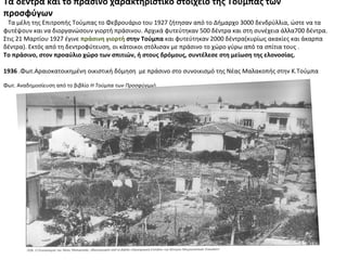 Τα δέντρα και το πράσινο χαρακτηριστικό στοιχείο της Τούμπας των
προσφύγων
Τα μέλη της Επιτροπής Τούμπας το Φεβρουάριο του 1927 ζήτησαν από το Δήμαρχο 3000 δενδρύλλια, ώστε να τα
φυτέψουν και να διοργανώσουν γιορτή πράσινου. Αρχικά φυτεύτηκαν 500 δέντρα και στη συνέχεια άλλα700 δέντρα.
Στις 21 Μαρτίου 1927 έγινε πράσινη γιορτή στην Τούμπα και φυτεύτηκαν 2000 δέντρα(κυρίως ακακίες και άκαρπα
δέντρα). Εκτός από τη δεντροφύτευση, οι κάτοικοι στόλισαν με πράσινο το χώρο γύρω από τα σπίτια τους .
Το πράσινο, στον προαύλιο χώρο των σπιτιών, ή στους δρόμους, συντέλεσε στη μείωση της ελονοσίας.
1936 .Φωτ.Αραιοκατοικημένη οικιστική δόμηση με πράσινο στο συνοικισμό της Νέας Μαλακοπής στην Κ.Τούμπα
Φωτ. Αναδημοσίευση από το βιβλίο Η Τούμπα των Προσφύγων)
 