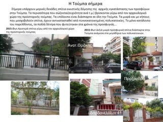 Η Τούμπα σήμερα
Σήμερα υπάρχουν μερικές δεκάδες σπίτια οικιστικής δόμησης της αρχικής εγκατάστασης των προσφύγων
στην Τούμπα. Τα περισσότερα που σώζονται(συχνότητα ανά τ.μ.) βρίσκονται γύρω από τον αρχαιολογικό
χώρο της προϊστορικής τούμπας. Τα υπόλοιπα είναι διάσπαρτα σε όλη την Τούμπα. Τα μικρά και με κήπους
που μοσχοβολούν σπίτια, έχουν αντικατασταθεί από πυκνοκατοικημένες πολυκατοικίες. Το μόνο κατάλοιπο
του παρελθόντος, τα πολλά δέντρα που φυτεύτηκαν στα χρόνια της προσφυγιάς...
2015.Φωτ.Αριστερά σπίτια γύρω από τον αρχαιολογικό χώρο
της προϊστορικής τούμπας
2015.Φωτ.Δεξιά μικρά προσφυγικά σπίτια διάσπαρτα στην
Τούμπα ανάμεσα στα μεγαθήρια των πολυκατοικιών.
Δαρδανελλίων 41
ΚυζίκουΑνατ.Θράκης
Πραξαγόρα
 