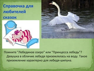 Помните "Лебединое озеро" или "Принцесса лебедь"?
Девушка в обличие лебедя приземлялась на воду. Такое
приземление характерно для лебедя-шипуна.
Справочка для
любителей
сказок
 