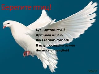 Будь другом птиц!
Пусть под окном,
Поёт весною соловей.
И над просторами земли
Летают стаи голубей!
 