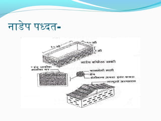 नाडेप पधदत-
 