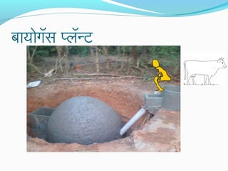 बायोगॅस प्लॅन्ट
 