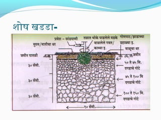 शोष खडडा-
 