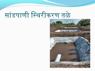 सांडपाणी िसथरीकरण तळे
 