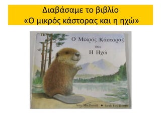 Διαβάσαμε το βιβλίο
«Ο μικρός κάστορας και η ηχώ»
 