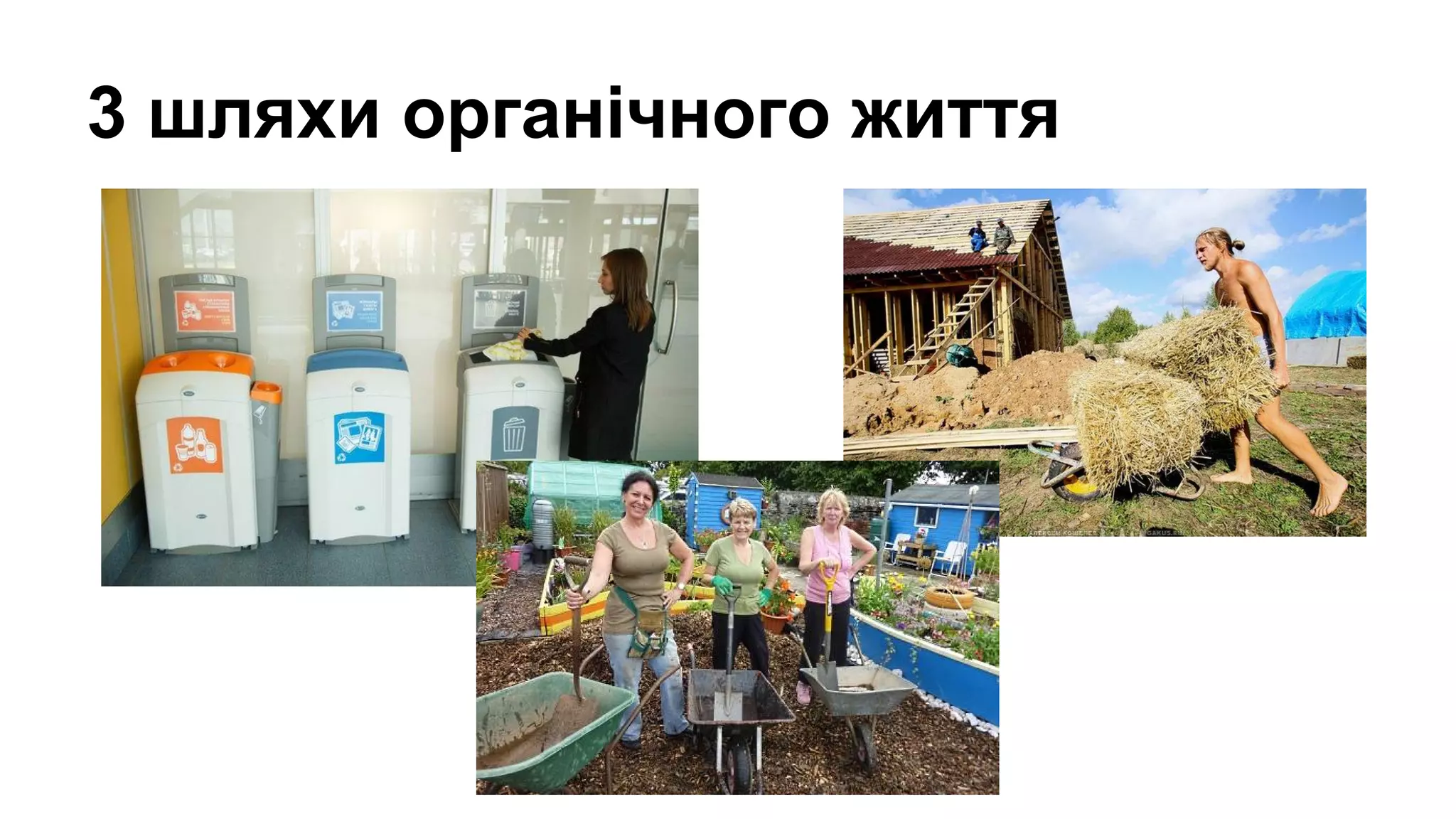 3 шляхи органічного життя
 