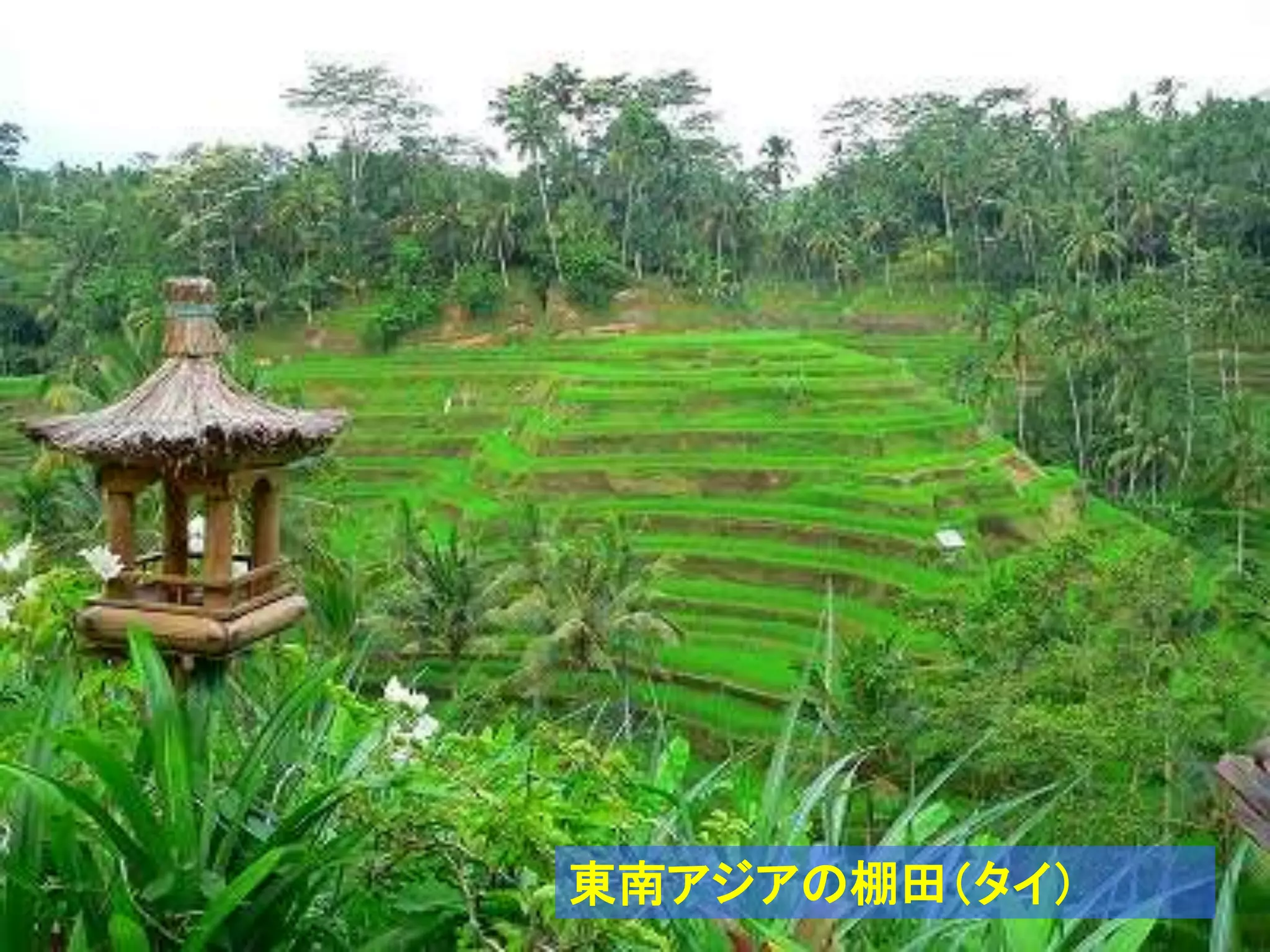 コース導入講義 大島