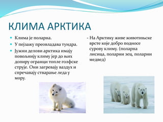 Поларне области | PPT