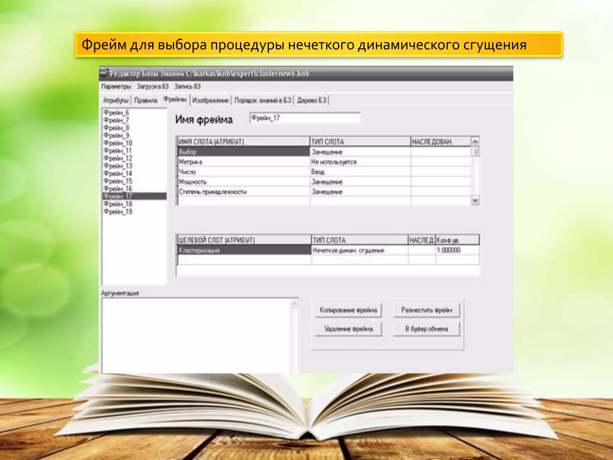 Фрейм для выбора процедуры нечеткого динамического сгущения
 