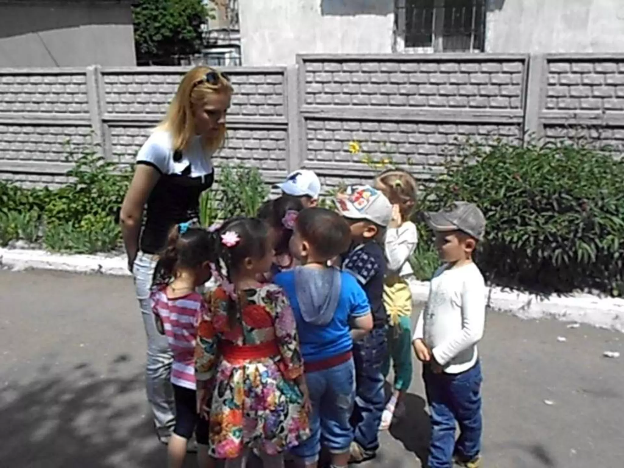 спостереження за сонечком