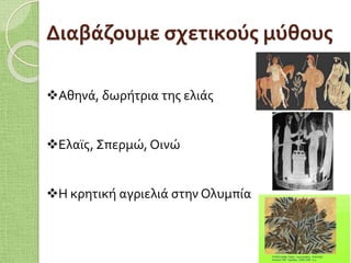 Διαβάζουμε σχετικούς μύθους
Αθηνά, δωρήτρια της ελιάς
Ελαϊς, Σπερμώ, Οινώ
Η κρητική αγριελιά στην Ολυμπία
 