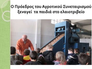 Ο Πρόεδρος του Αγροτικού Συνεταιρισμού
ξεναγεί τα παιδιά στο ελαιοτριβείο
 