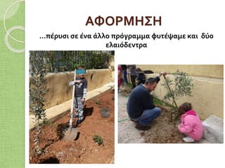 ΑΦΟΡΜΗΣΗ
…πέρυσι σε ένα άλλο πρόγραμμα φυτέψαμε και δύο
ελαιόδεντρα
 