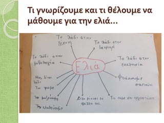 Τι γνωρίζουμε και τι θέλουμε να
μάθουμε για την ελιά…
 