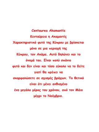 Centaurea Akamantis
Κενταύρεια η Ακαμαντίς
Χαρακτηριστικό φυτό της Κύπρου με βρίσκεται
μόνο σε μια περιοχή της
Κύπρου, τον Ακάμα. Αυτό δηλώνει και το
όνομά του. Είναι πολύ σπάνιο
φυτό και δεν είναι και τόσο εύκολο να το δείτε
γιατί θα πρέπει να
σκαρφαλώσετε σε σχισμές βράχων. Το θετικό
είναι ότι μένει ανθισμένο
ένα μεγάλο μέρος του χρόνου, από τον Μάιο
μέχρι το Νοέμβριο.
 